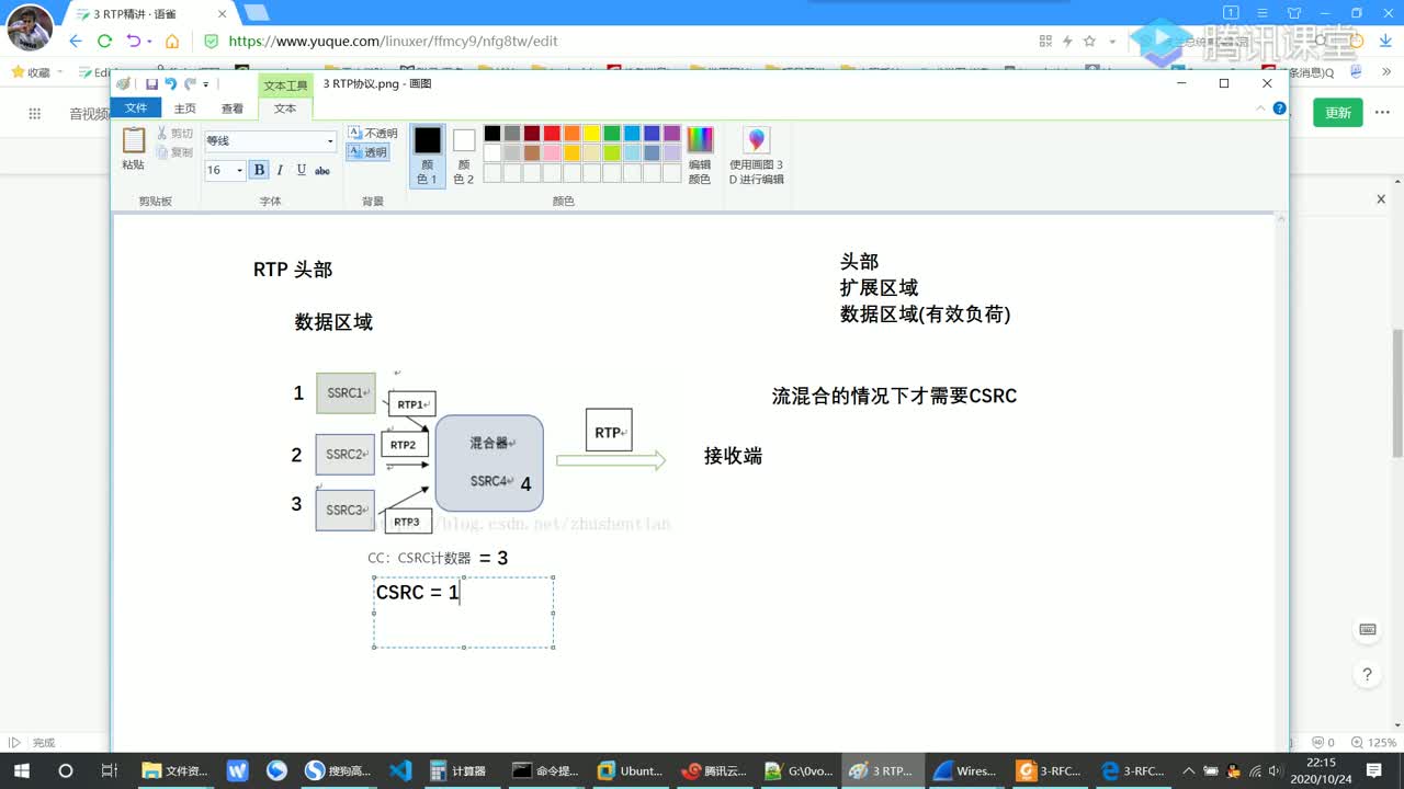 RTP 负载封装模型